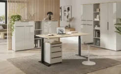 Aktenschrank Arlau