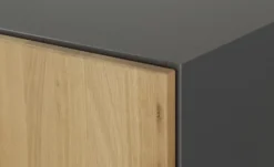 Aktenschrank mit Massivholzfront SOLIDLine