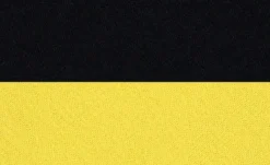Alvi Schlafsack Player BVB 2025