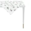 Apelt Mitteldecke