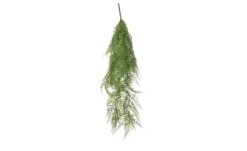 Asparagus Hänger
