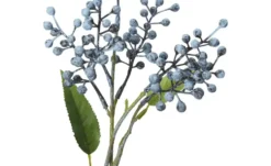 Beerenpick Zweig