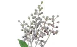 Beerenpick Zweig