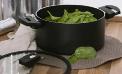 Berndes Kochtopf mit Deckel 20cm b.green