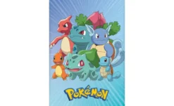 Bettwäsche-Set Pokémon