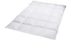 Billerbeck Kassettendecke Ariella