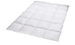 Billerbeck Kassettendecke VI Belja 2.0 Edition