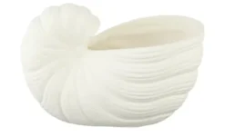 Blumentopf Muschel