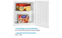 Bomann Gefrierbox GB 341.1 weiß