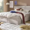 Boxbett Duke