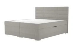 Boxbett Duke