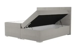 Boxbett Duke