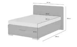 Boxspringbett mit Bettkasten Hackney