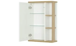calmo2go Bad-Wandschrank North