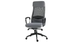 Chefsessel Blies neu