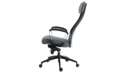 Chefsessel Blies neu