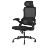 Chefsessel Schwarzbach 2