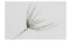 como Biber Bettwäsche Dandelion