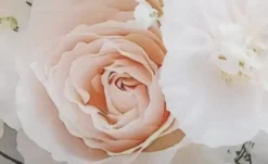 como Kissen Rosen