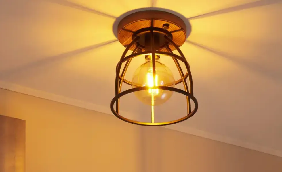 Deckenleuchte, 1-flammig Metall schwarz Frame