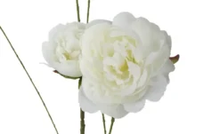 Deko Peonie
