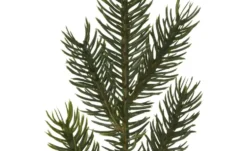 Deko Tannenbaum