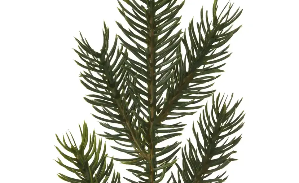 Deko Tannenbaum