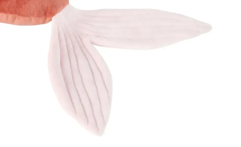 Dekokissen Fisch