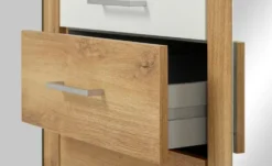 Drehtürenschrank Livingston