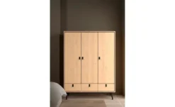 Drehtürenschrank Ripley