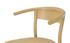 Esszimmerstuhl Fala