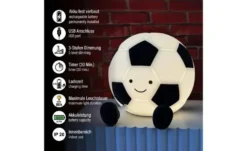 Fischer-Honsel Fußball-Tischleuchte Kalle