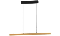 Fischer-Honsel Pendelleuchte