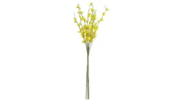 Forsythienbund