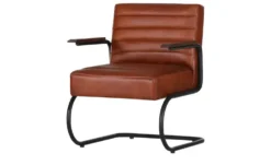 Freischwinger Sessel Buff