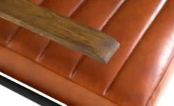 Freischwinger Sessel Buff