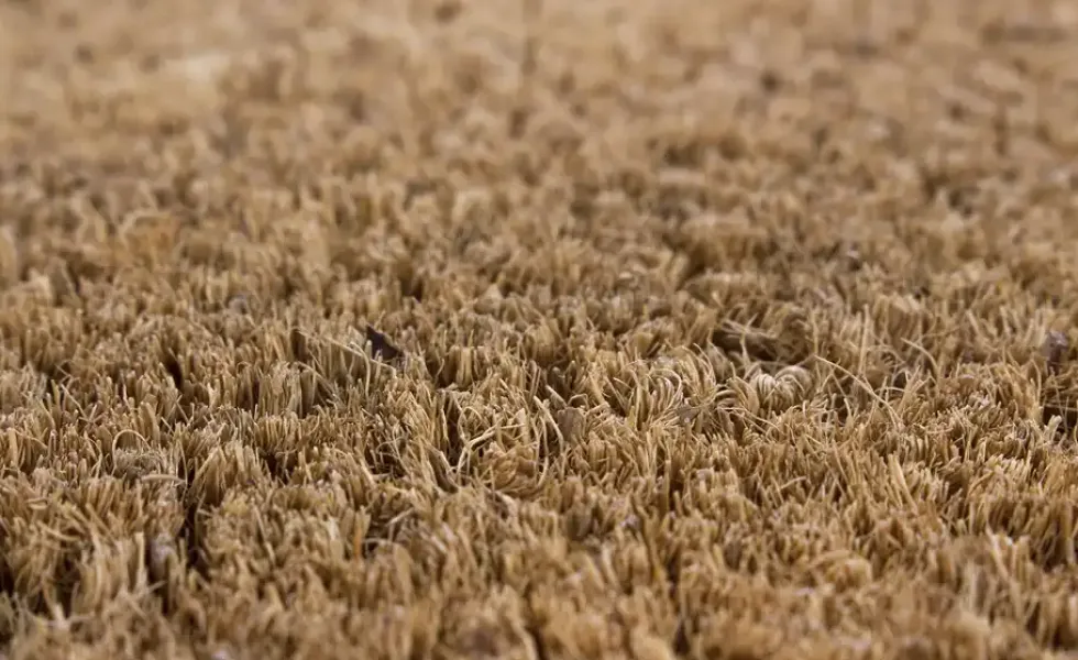 Fußmatte Kokos Velour