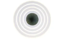 Globo Lighting Deckenleuchte
