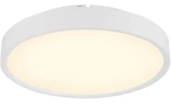 Globo Lighting Deckenleuchte