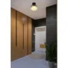 Globo Lighting Deckenleuchte