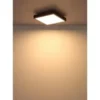 Globo Lighting Deckenleuchte