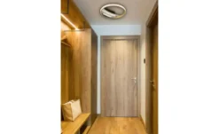 Globo Lighting Deckenleuchte