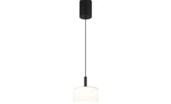 Globo Lighting Hängeleuchte