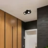 Globo Lighting Strahler