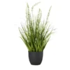 Glockenblume getopft