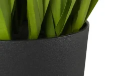 Glockenblume getopft