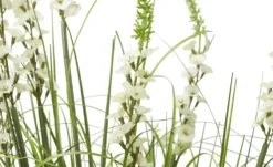 Glockenblume getopft