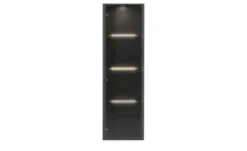 Hängevitrine Light Line 10