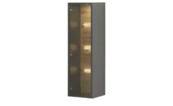 Hängevitrine Light Line 10