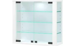 Hängevitrine Vitrosa